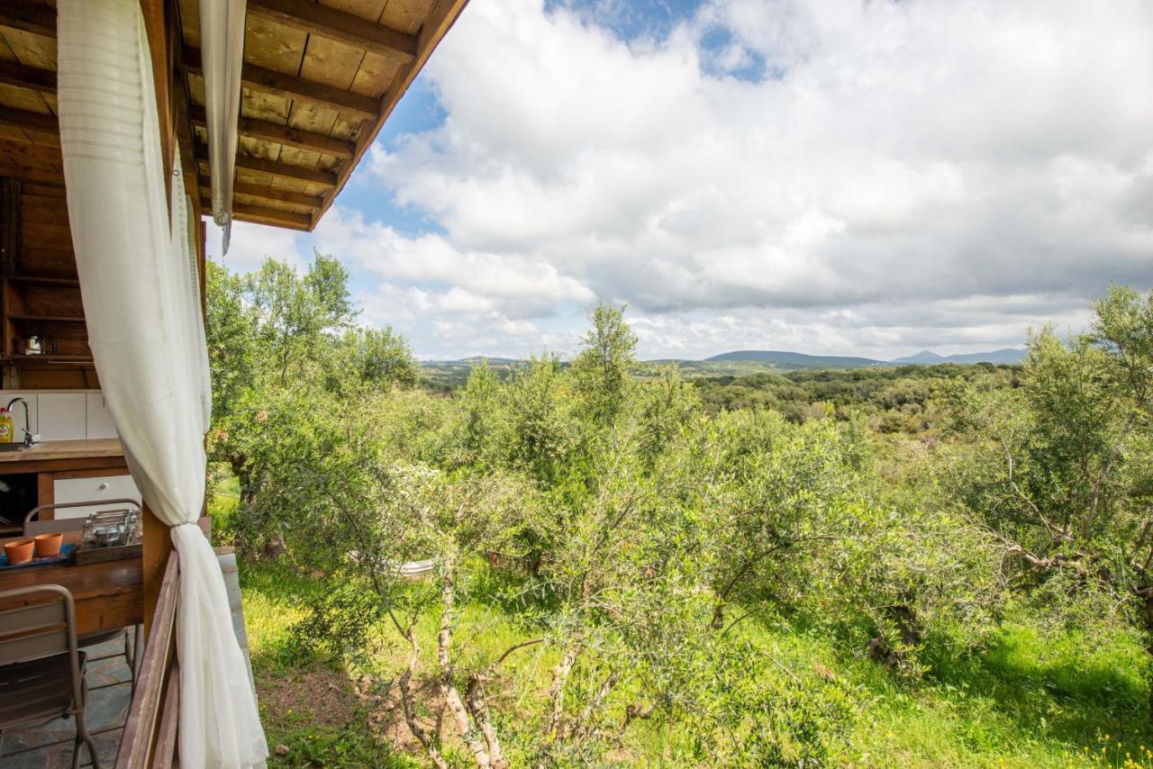 Hakuna Matata Holidays Wooden Lodge With Airco & Pool In Greek Olive Grove Methoni  Exterior photo