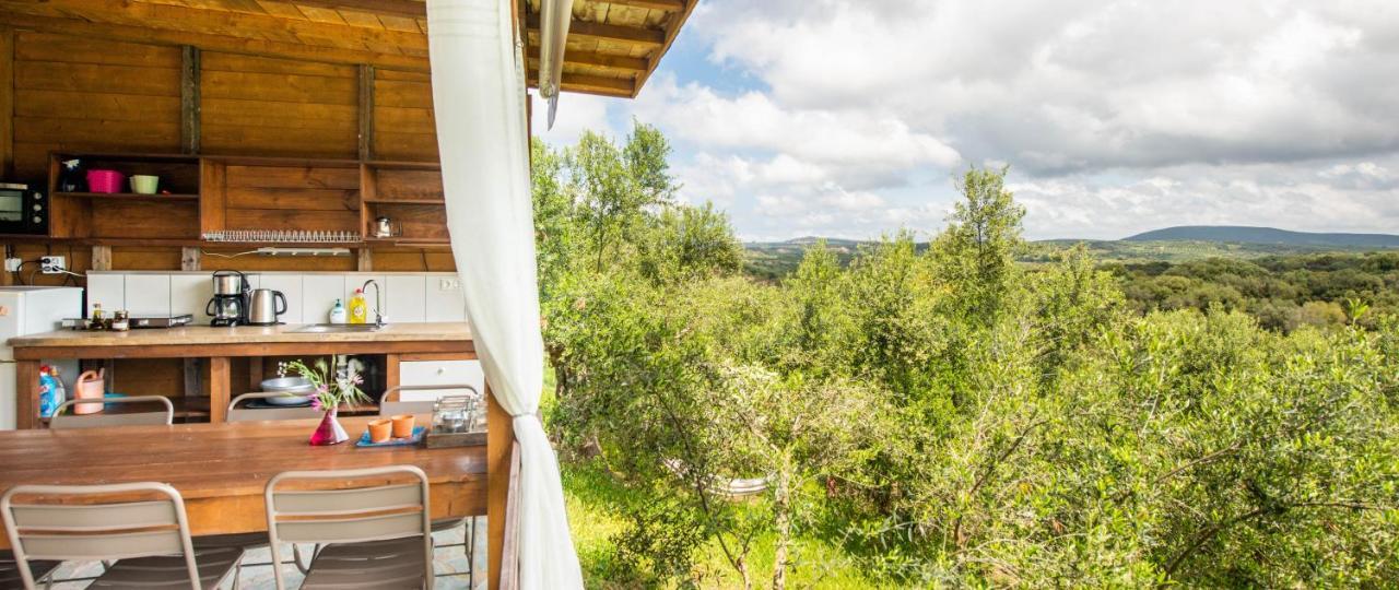 Hakuna Matata Holidays Wooden Lodge With Airco & Pool In Greek Olive Grove Methoni  Exterior photo