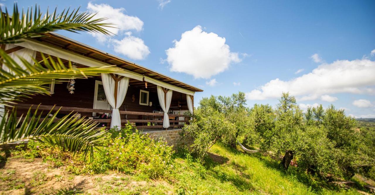 Hakuna Matata Holidays Wooden Lodge With Airco & Pool In Greek Olive Grove Methoni  Exterior photo
