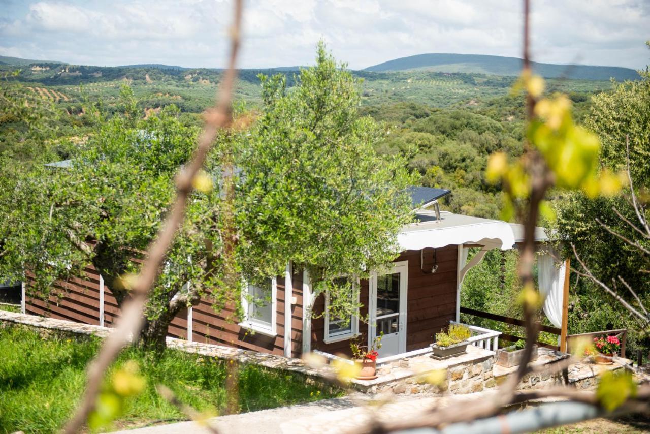 Hakuna Matata Holidays Wooden Lodge With Airco & Pool In Greek Olive Grove Methoni  Exterior photo