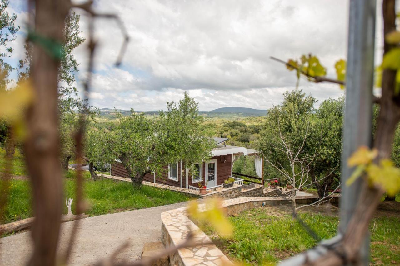 Hakuna Matata Holidays Wooden Lodge With Airco & Pool In Greek Olive Grove Methoni  Exterior photo