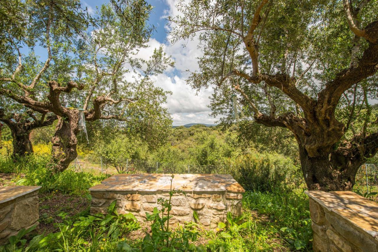 Hakuna Matata Holidays Wooden Lodge With Airco & Pool In Greek Olive Grove Methoni  Exterior photo