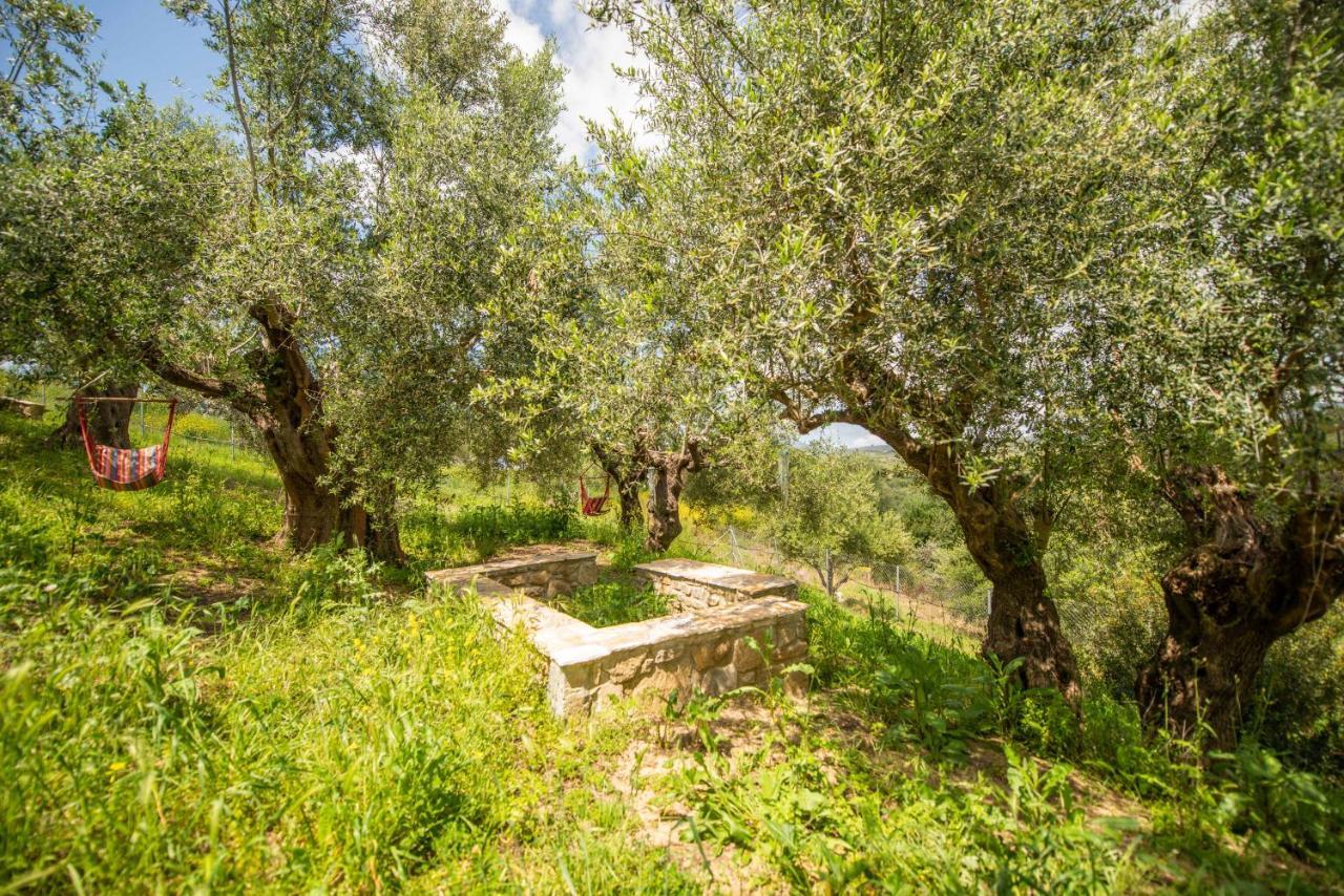 Hakuna Matata Holidays Wooden Lodge With Airco & Pool In Greek Olive Grove Methoni  Exterior photo
