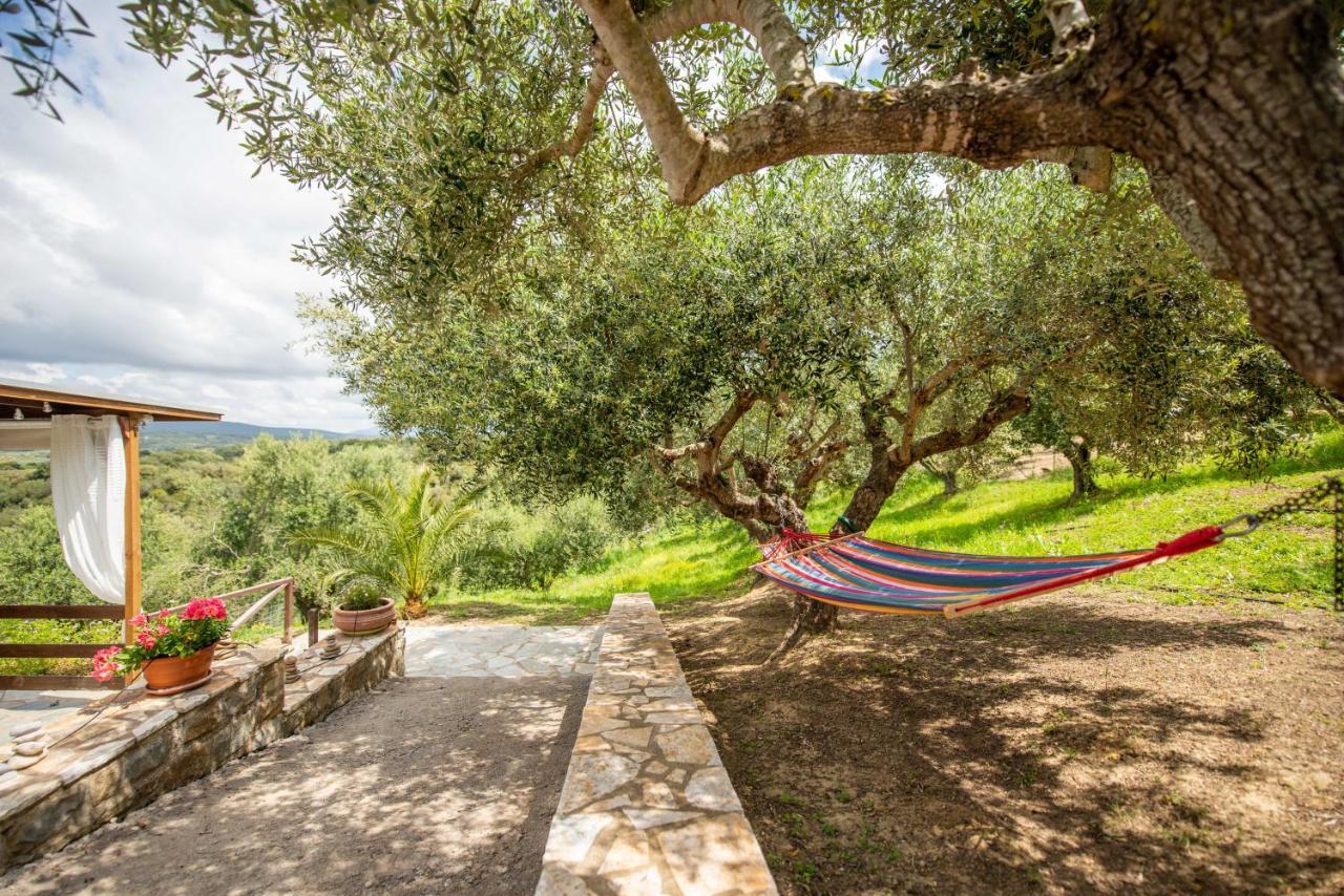 Hakuna Matata Holidays Wooden Lodge With Airco & Pool In Greek Olive Grove Methoni  Exterior photo