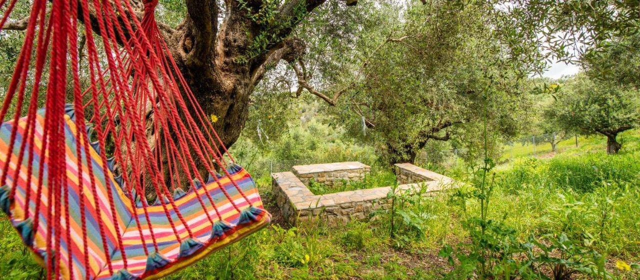 Hakuna Matata Holidays Wooden Lodge With Airco & Pool In Greek Olive Grove Methoni  Exterior photo