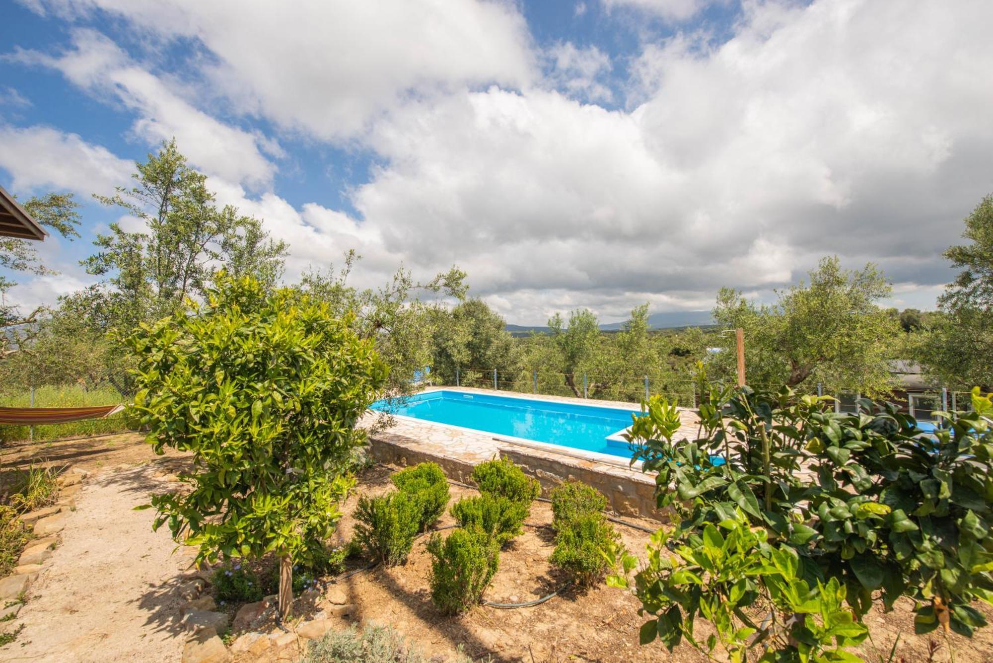 Hakuna Matata Holidays Wooden Lodge With Airco & Pool In Greek Olive Grove Methoni  Exterior photo