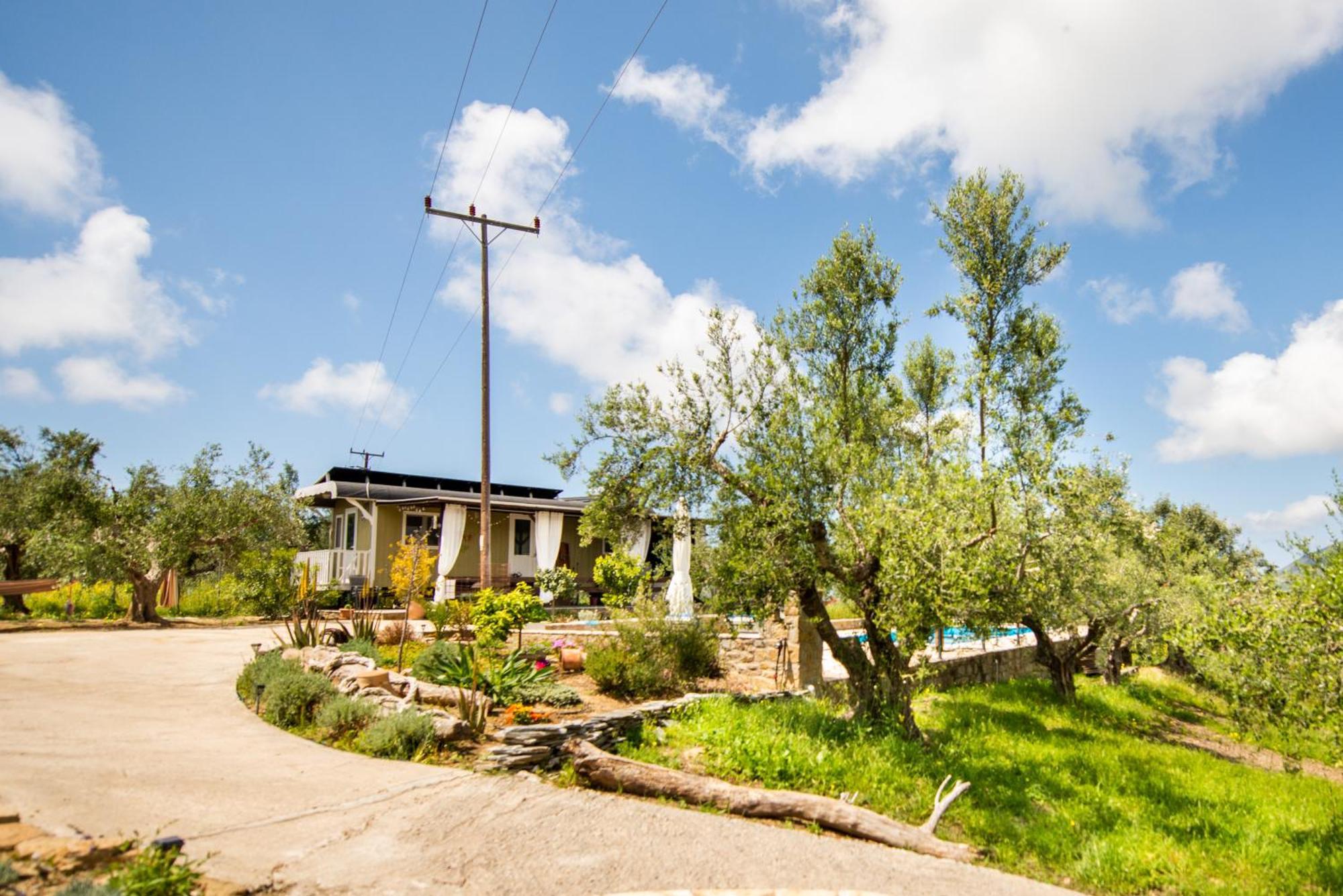 Hakuna Matata Holidays Wooden Lodge With Airco & Pool In Greek Olive Grove Methoni  Exterior photo